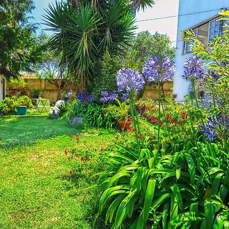 メン・マルティンス Lugar Saloio Sintra Bed & Breakfast エクステリア 写真