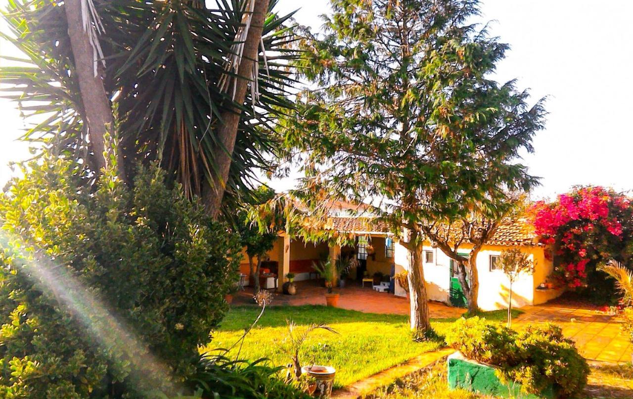 メン・マルティンス Lugar Saloio Sintra Bed & Breakfast エクステリア 写真